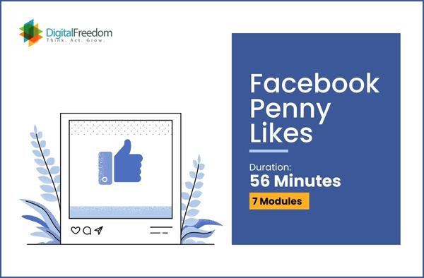 You are currently viewing Facebook Penny Likes